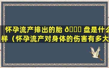 怀孕流产排出的胎 🐛 盘是什么样（怀孕流产对身体的伤害有多大）